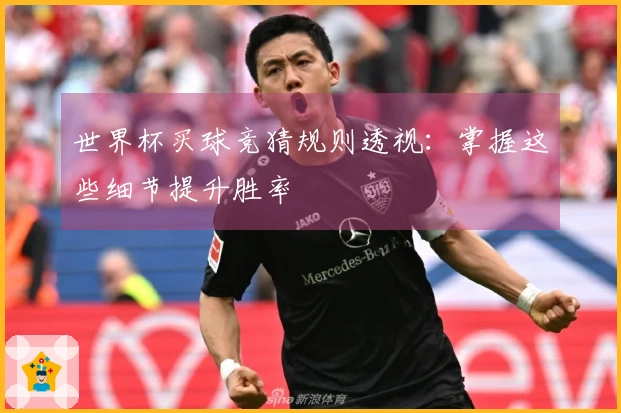 世界杯买球竞猜规则透视：掌握这些细节提升胜率