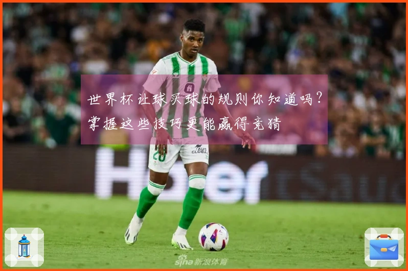 世界杯让球买球的规则你知道吗？掌握这些技巧更能赢得竞猜