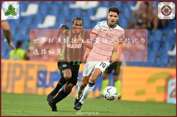 世界杯滚球投注的最佳入口对比与选择秘笈