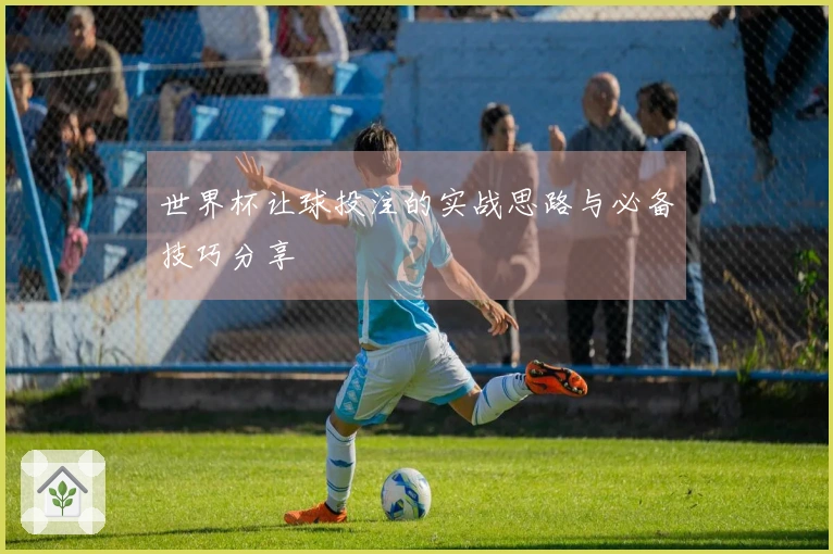 世界杯让球投注的实战思路与必备技巧分享