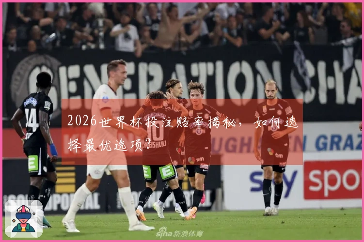2026世界杯投注赔率揭秘，如何选择最优选项？