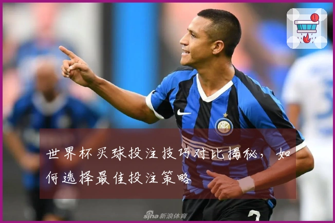 世界杯买球投注技巧对比揭秘，如何选择最佳投注策略