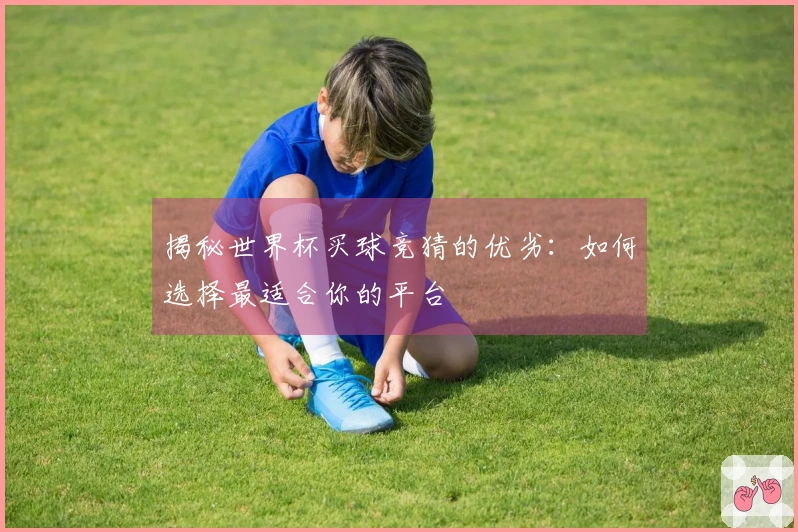 揭秘世界杯买球竞猜的优劣：如何选择最适合你的平台