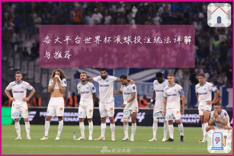 各大平台世界杯滚球投注玩法详解与推荐