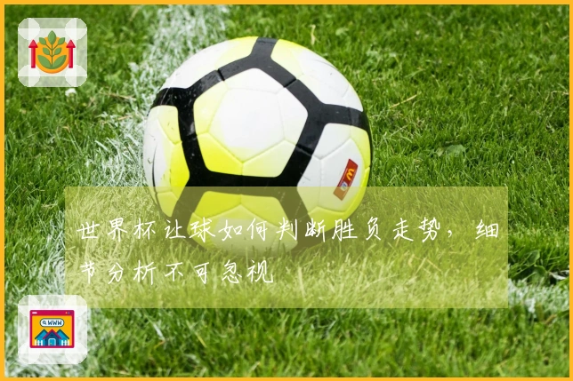 世界杯让球如何判断胜负走势，细节分析不可忽视