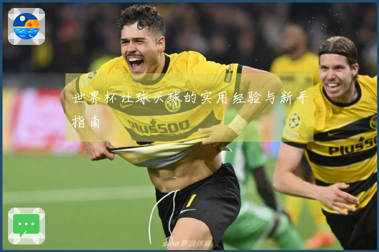世界杯让球买球的实用经验与新手指南