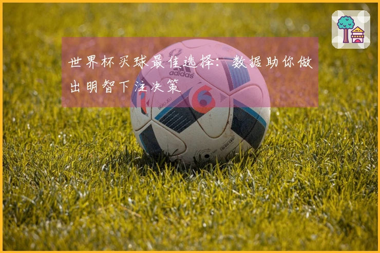世界杯买球最佳选择：数据助你做出明智下注决策