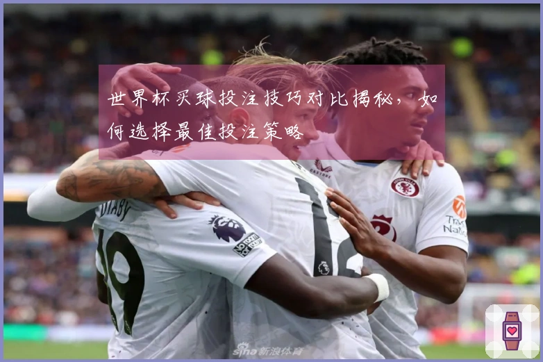 世界杯买球投注技巧对比揭秘，如何选择最佳投注策略
