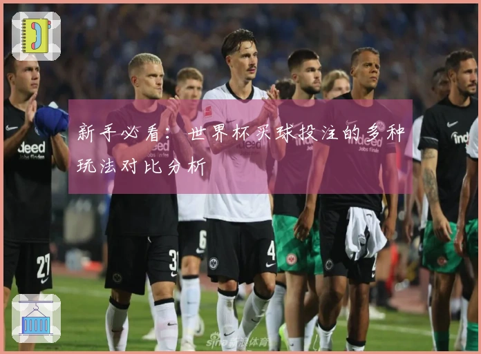 新手必看：世界杯买球投注的多种玩法对比分析