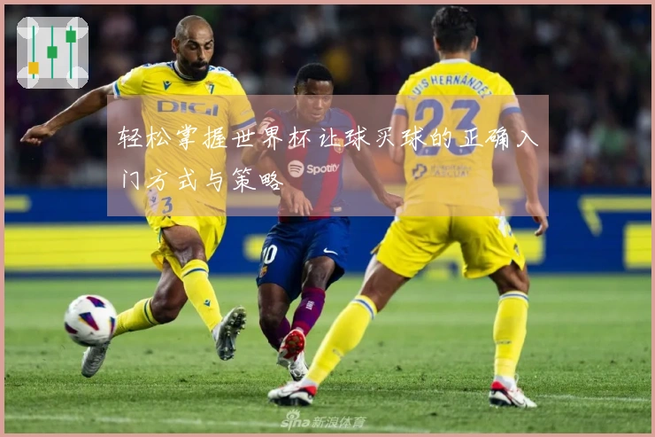 轻松掌握世界杯让球买球的正确入门方式与策略
