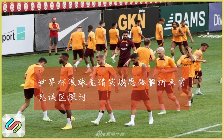 世界杯滚球竞猜实战思路解析及常见误区探讨