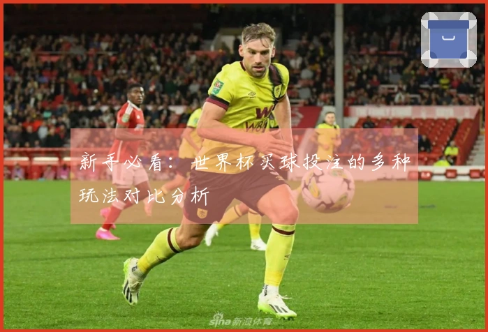 新手必看：世界杯买球投注的多种玩法对比分析